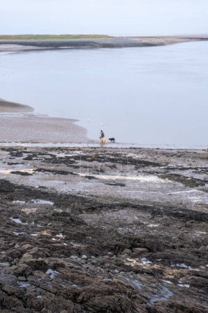 Foto de El estuario de appledore devon england uk - Imagen libre de derechos