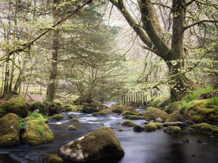 Fluss im Dartmoor National Park devon england uk. In der Nähe des Burrator-Stausees