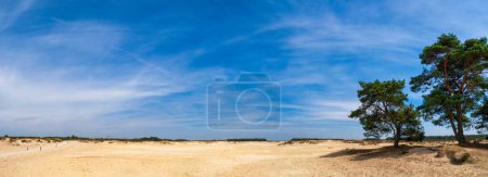 Sandverwehungen im Naturschutzgebiet Balloerveld in der Gemeinde Aa en Hunze in Drenthe