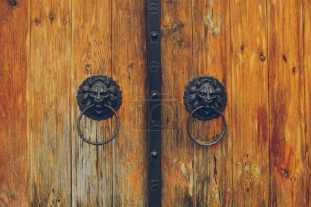 Photo for Decoration of wooden gates. Knocker in the form of lion heads with rings in the mouth. Close-up. - Royalty Free Image