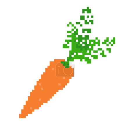 Illustration for Carrots.Vector illustration that is easy to edit. - Royalty Free Image