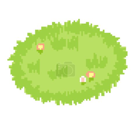 Illustration for Grasses Field.Vector illustration that is easy to edit. - Royalty Free Image