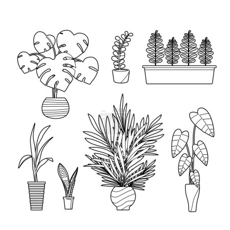 Téléchargez les illustrations : Plante feuillue. Illustration vectorielle facile à éditer. - en licence libre de droit
