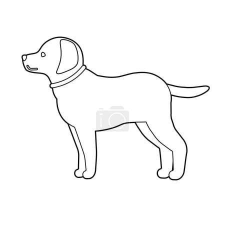 Illustration for Golden retriever.Vector illustration that is easy to edit. - Royalty Free Image