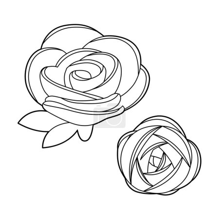 Illustration for Rose.Vector illustration that is easy to edit. - Royalty Free Image