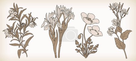 Dibujo en línea clásico y simple ilustraciones de flores y plantas.