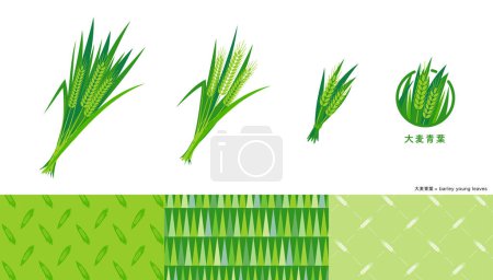 Illustration for Barley green leaves illustration and icon and pattern set. - Royalty Free Image