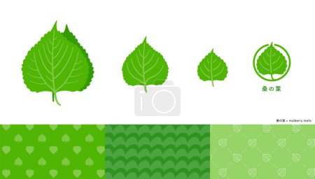 Illustration for Mulberry leaf illustrations and icons and patterns set. - Royalty Free Image