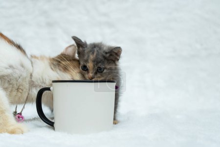 Foto de An enamel mug featuring a two cat doing something behind it, enamel mug mockup image - Imagen libre de derechos