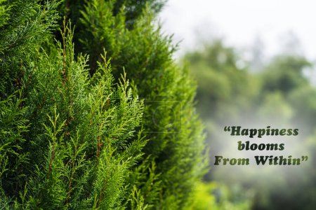 Foto de Cita inspiradora - La felicidad florece desde dentro. Con un árbol de cedro verde en el lado derecho y fuera de foco fondo de la naturaleza - Imagen libre de derechos