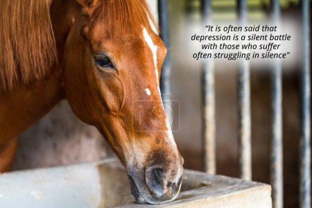 Téléchargez les photos : Negative quote about - It is often said that depression is a silent battle, with those who suffer often struggling in silence. With a horse on a stable - en image libre de droit