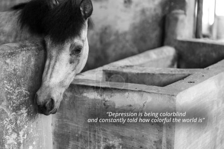 Téléchargez les photos : Negative quote about - Depression is being colorblind and constantly told how colorful the world is. With a horse on a stable. black and white image - en image libre de droit