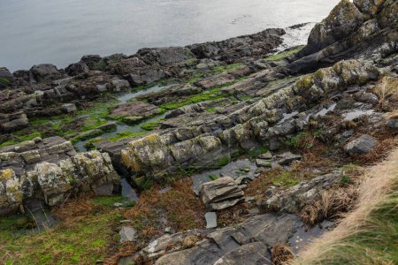 Los acantilados oceánicos de Irlanda del Norte en cautivador detalle. Cerca de piedra y musgo, detalles naturales