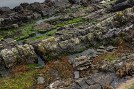 Nordirlands ozeanische Klippen in fesselnden Details. Nahaufnahme von Stein und Moos, natürliche Details