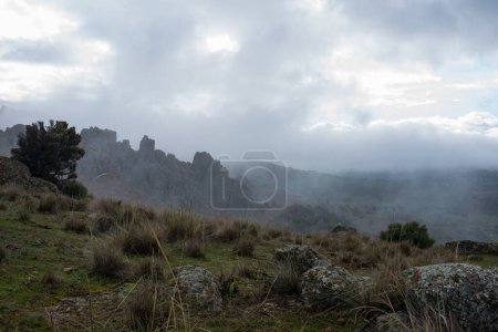 Photo for Beautiful landscape with fog. Colmenar Viejo,  Madrid - Royalty Free Image