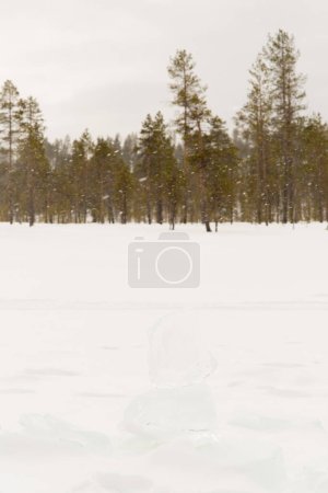 Photo for Snowing over a frozen lake and forest around. Lapland - Royalty Free Image