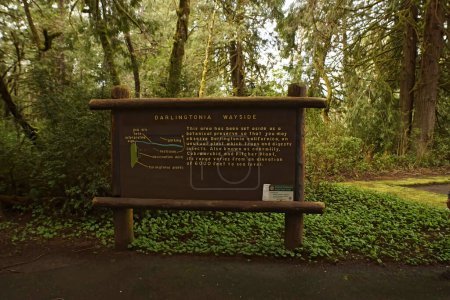Téléchargez les photos : Gros plan sur le panneau d'entrée en bois de hte Darlingtonia State Natural Site parc national et réserve botanique en Oregon, États-Unis - en image libre de droit