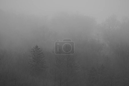 Foto de Abstract landscape in the mountains, with fog in the forest, in black and white. - Imagen libre de derechos