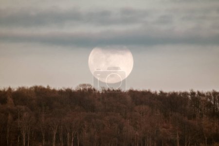 Photo for Landscape with forest at sunset and very big full Moon. - Royalty Free Image