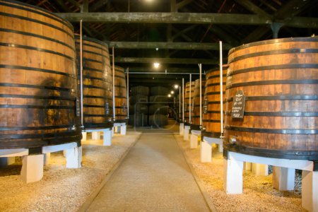 Téléchargez les photos : VILA NOVA DE GAIA, PORTUGAL - 26 octobre 2022 : barriques de vin de chêne au pavillon du Port Graham - en image libre de droit