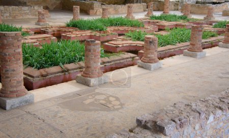 Téléchargez les photos : Ruines romaines portugaises à Conimbriga - en image libre de droit
