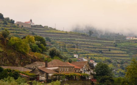 Photo for Landscape view of the beautiful douro river valley near Pinhao in Portugal - Royalty Free Image
