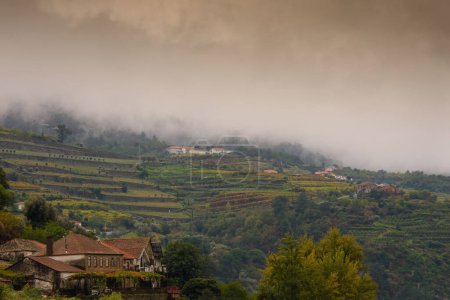 Téléchargez les photos : Landscape view of the beautiful douro river valley near Pinhao in Portugal - en image libre de droit