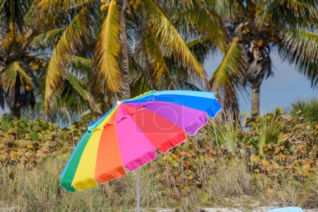 Foto de Sombrilla de colores en la playa de mar contra las palmeras - Imagen libre de derechos