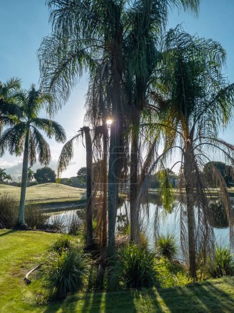 Photo for Beautiful tropical landscape. Emerald Hill Golf Course, Illinois, USA - Royalty Free Image