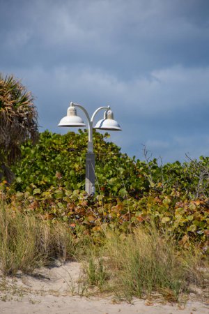 Téléchargez les photos : Belle vue sur les lanternes extérieures et la végétation tropicale luxuriante - en image libre de droit