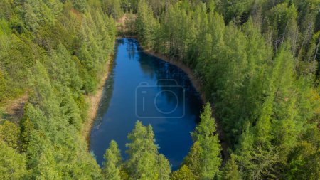Photo for Aerial view of the river in the forest, summer landscape. - Royalty Free Image