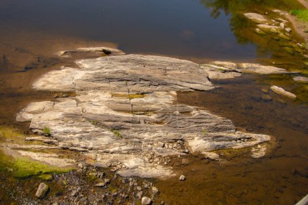 Téléchargez les photos : Roche au niveau de l'eau dans une rivière de la forêt canadienne - en image libre de droit