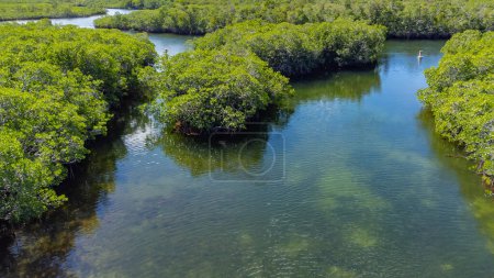 Foto de Vista aérea de parte de la isla de Key Largo en el sur de Florida, Estados Unidos - Imagen libre de derechos