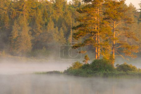 Téléchargez les photos : Matin brumeux sur le lac - en image libre de droit