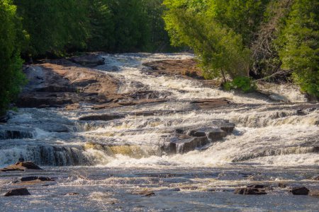 Téléchargez les photos : Vue de jour de la rivière coulant dans les montagnes au milieu de la forêt - en image libre de droit
