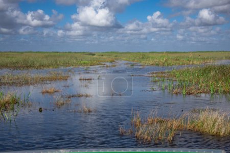 Foto de Naturaleza del parque nacional Eeverglades, Florida, EE.UU.. - Imagen libre de derechos