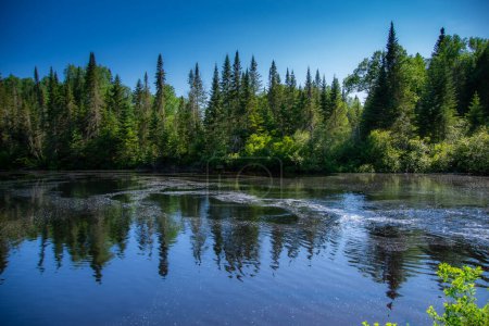 Téléchargez les photos : Belle rivière forestière canadienne dans la province de Québec - en image libre de droit