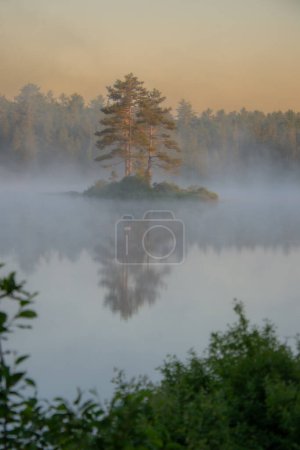 Téléchargez les photos : Beau lac sauvage dans la brume matinale dans la province de Québec, Canada - en image libre de droit