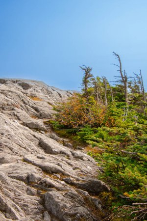 Téléchargez les photos : Couleurs d'automne autour du site touristique Jay Peak aux États-Unis - en image libre de droit