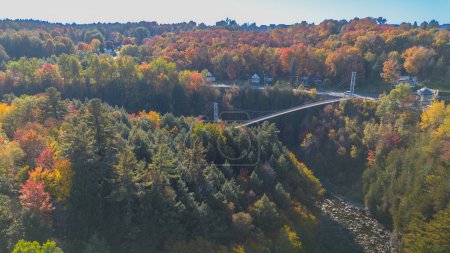 Photo for Aerial view of the bridge in the autumn forest - Royalty Free Image