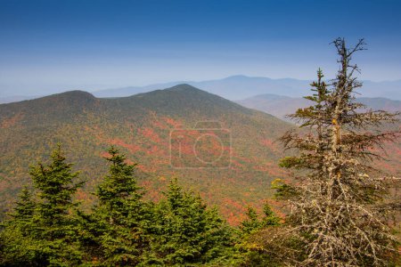 Téléchargez les photos : Magnifique paysage de montagne Jay Peak à l'automne - en image libre de droit