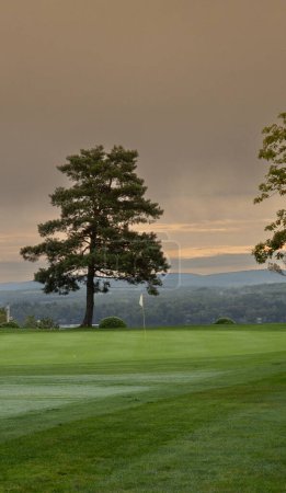 Photo for Golf course in the park. - Royalty Free Image