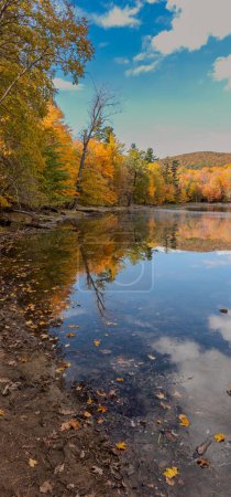 Téléchargez les photos : Arbres d'automne colorés avec des reflets dans le lac - en image libre de droit