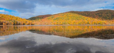 Téléchargez les photos : Canards sur le lac en automne - en image libre de droit