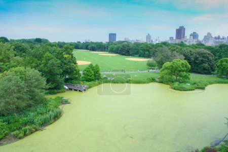 Téléchargez les photos : Vue aérienne du New York City Park - en image libre de droit