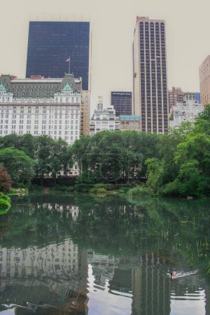 Photo for Central park in manhattan in a beautiful sunny day, new york city. - Royalty Free Image