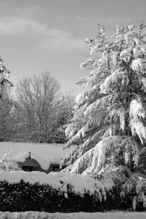Foto de Paisaje invernal en el campo en Quebec, Canadá - Imagen libre de derechos