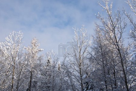 Téléchargez les photos : Paysage hivernal à la campagne au Québec, Canada - en image libre de droit