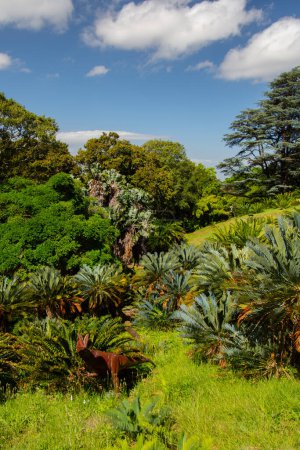 Téléchargez les photos : The Table, Cape Town, vue depuis Kirstenbosch Gardens, Afrique du Sud - en image libre de droit