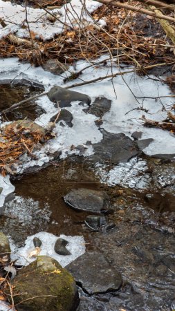 Téléchargez les photos : Joli ruisseau la forêt canadienne hiver dans le parc protégé du Québec - en image libre de droit